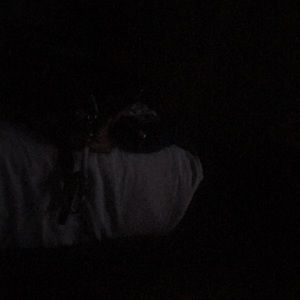 Meet your Posher, Donald